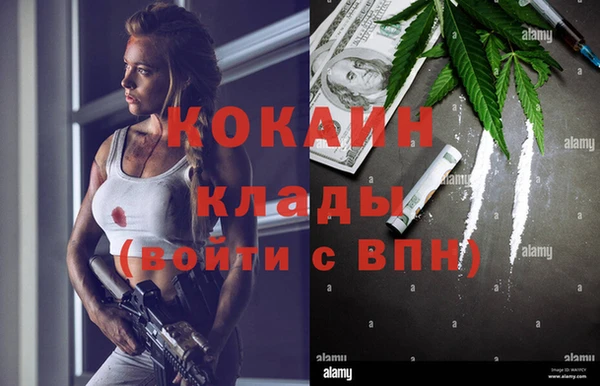 jwh Ельня