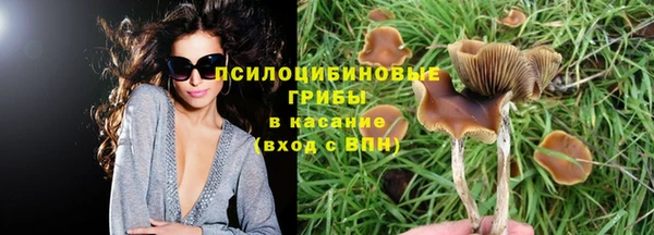jwh Ельня