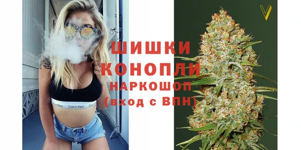 2c-b Елабуга