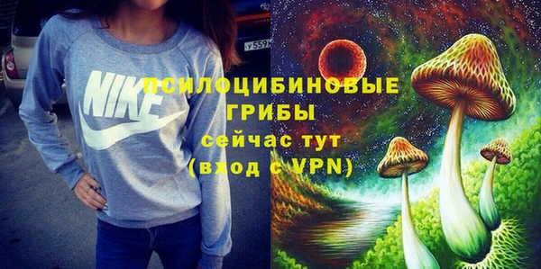 2c-b Елабуга