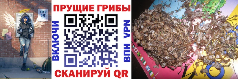 Купить где  Белореченск  Галлюциногенные грибы мухоморы 